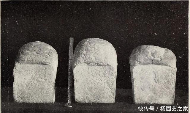 执着|啃最硬的面包打最硬的仗,欧洲人对硬面包的执着从何而来?