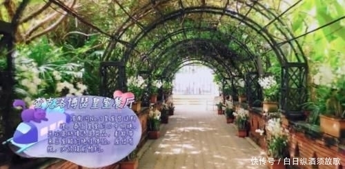 举动|妻子团泰国皇室餐厅用餐,看到桌上的美食,霍思燕下意识的举动,现实了