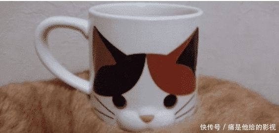  马赛克|“男朋友送我的马赛克浴巾？ 哈哈哈哈这谁顶得住啊......”