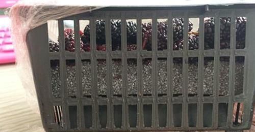 打人|最“坑人”的4样包装,忍了糖果,忍了巧克力,看到桑葚只想打人