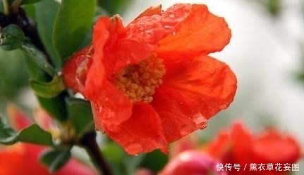  保佑|佛祖保佑！3生肖大难已过，将有百年一遇的横财运，终于苦尽甘来