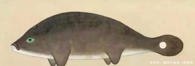 古人|为什么古人把“海鲜”称为“海错”?谈谈中国人吃海鲜的历史