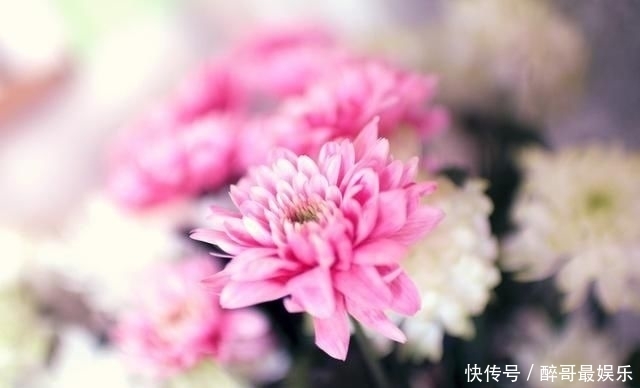 同行|与时光同行,温暖了流年