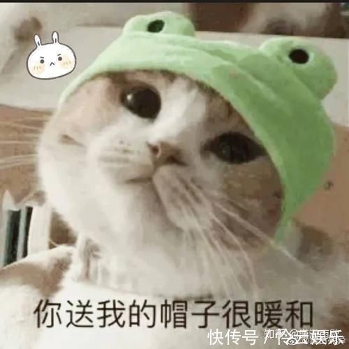  梦迪|如何评价《这就是街舞》第三季第二期中王一博的表现