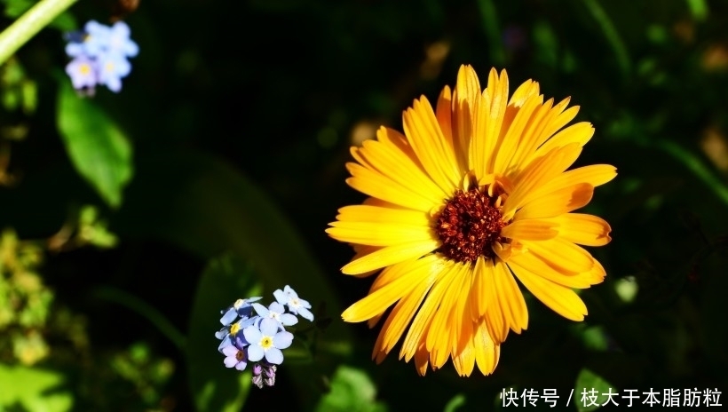  步步高升|8月开始赚得巨大财富，步步高升，人生好命的四大生肖