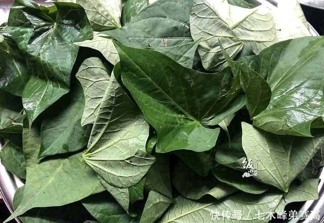 胡萝卜素|入秋后最该吃的蔬菜,胡萝卜素是胡萝卜3倍,被誉为“蔬菜皇后”