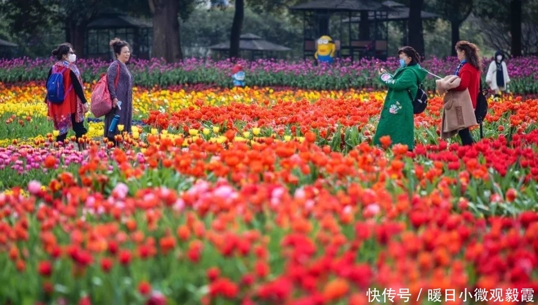  浅谈|浅谈秀丽东方IP对成都公园城市建设的借鉴作用