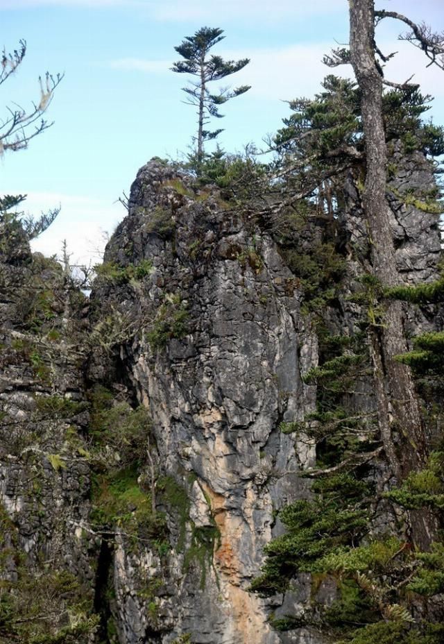 攻略|无深度不云南——丽江巴拉神山徒步穿越攻略