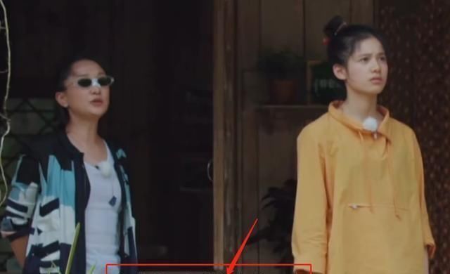 危险|彭昱畅为摘椰子危险爬树,何炅黄磊连忙劝阻,妹妹的表情太真实了