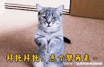 提高|美国“顶尖科学家”有632人, 日本有294人, 那中国有多少你知道吗