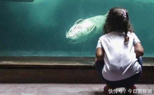 领域|专家:中国巴西服务贸易合作前景广阔