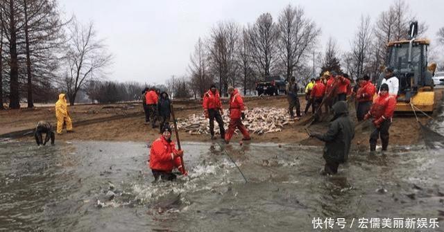 意外|美国亚洲鲤鱼泛滥,效仿中国查干湖冬捕方式,结果令人意外