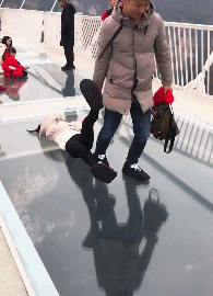 GIF|搞笑GIF：一直在模仿从未被超越，厉害