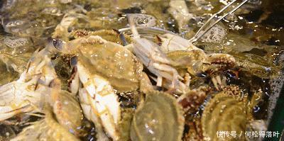 烤地瓜|秋天,你看起来真的很好吃!