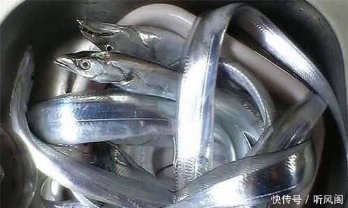  冷冻|烹饪带鱼，去腥时别只加盐！大厨说多加一样东西，鱼肉鲜嫩没腥味