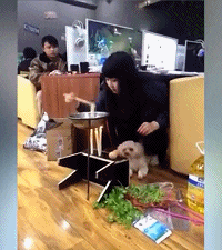 满满的|搞笑GIF：满满的都是套路