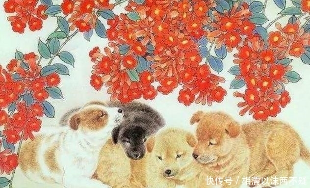 赚大钱|属狗人和谁在一起能赚大钱？