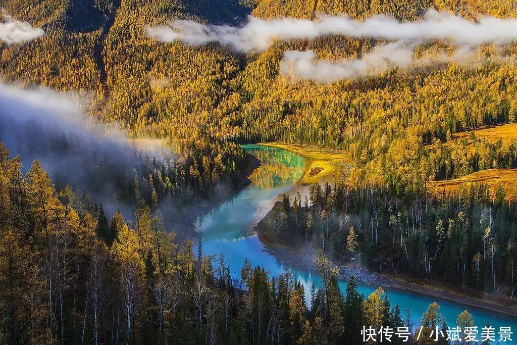  绿色|人间净土，喀纳斯之秋，气势磅礴的美！