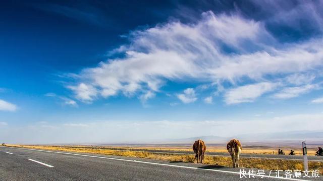 热烈|等待一年,只为胡杨林21天的极致灿烂和浓烈!