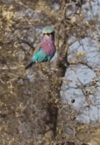  搞笑|搞笑GIF：自从有了这表情帽，妹子的幽默元素一下子得到飞跃性的提升