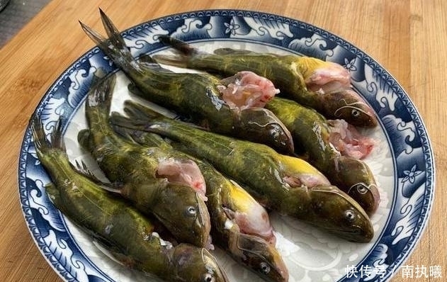 调味料|无论煮什么鱼,都不要放这两种调味料,做错了鱼又腥又难吃