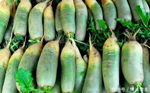 花样|啥蔬菜都吃不起,花样吃萝卜,你们都知道哪些!