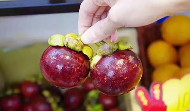 挑选|买山竹时有窍门,要选择“母”山竹,皮薄肉大,一挑一个甜