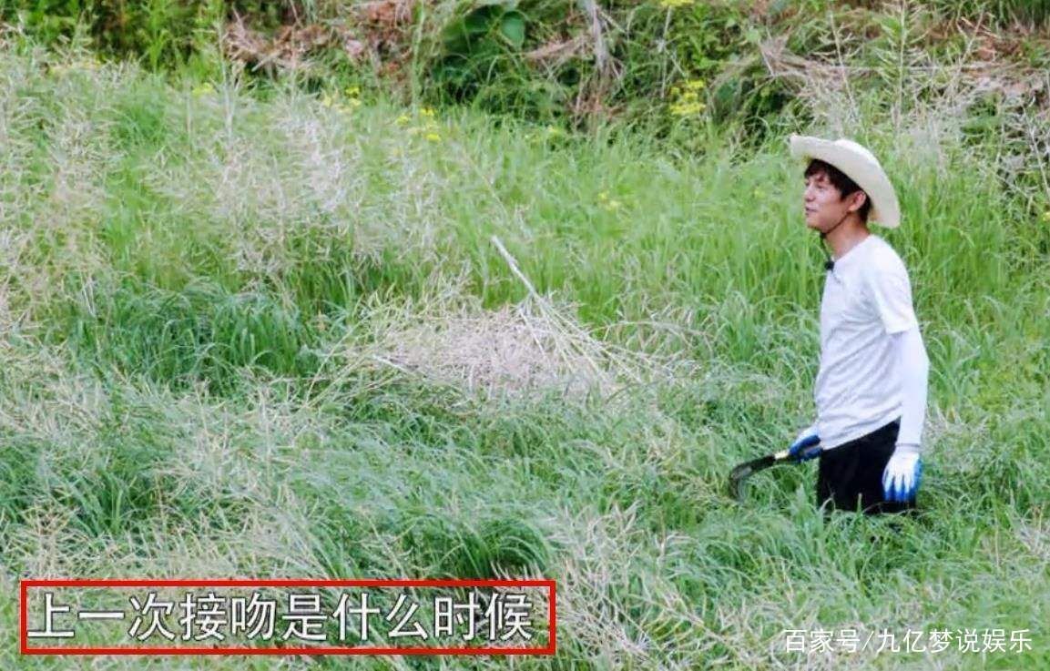 定档|《向往的生活》第4季终于定档,网友:更期待先导片的播出