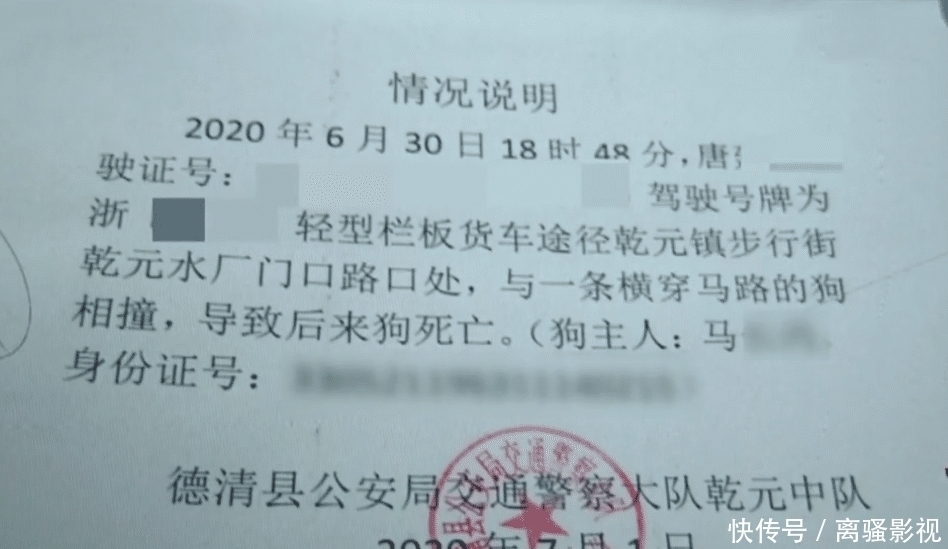  路上|城管车马路上撞到狗，遭主人指责态度不好，城管：没拴绳全责