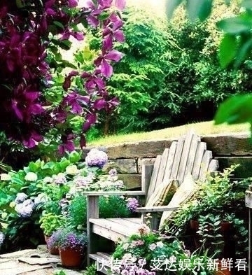 暮年|你我暮年,有个小院,足矣!