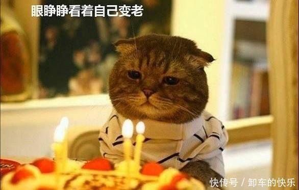  高原|西藏那种高原上蚊子多不多