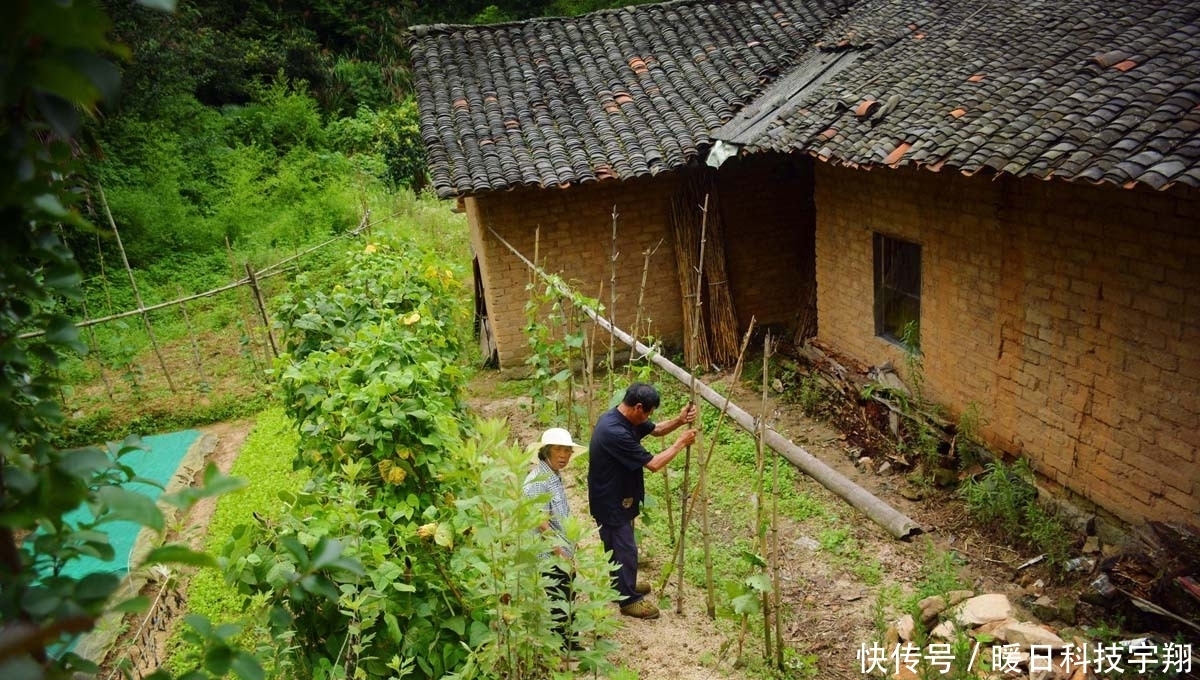 为啥|70岁大爷住山村瓦屋，邻居都已搬走，看他为啥不愿离开