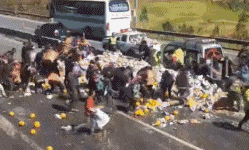  天天|搞笑GIF：我家的电线天天被当成秋千！