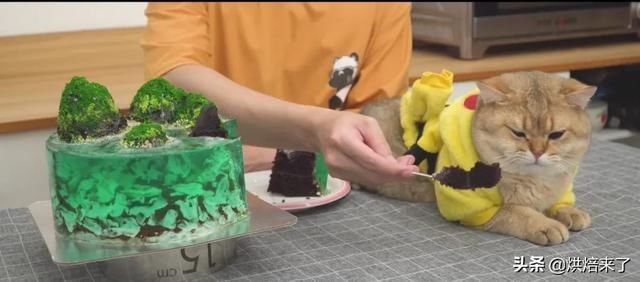 海岛|绝了日本小哥做出以假乱真的海岛果冻蛋糕,网友我和猫都惊了