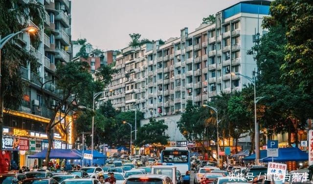 重庆|科园四路被严重低估的重庆夜宵大本营!