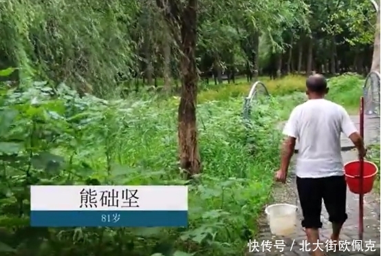 长廊|8旬老人义务种出500米花海长廊，种花原因曝光后，这也太真实了吧