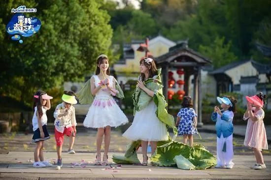  综艺|高秋梓面临高额赔偿，直播空降赚的都不够赔