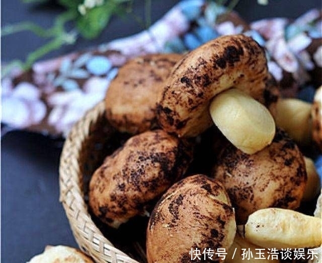  面团|玉米汁蘑菇面包，逼真，甜软上瘾
