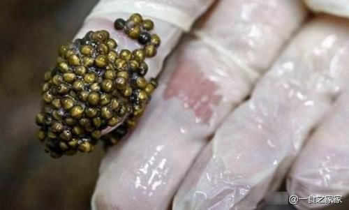 伊比利|世界上7大顶级食材,第一种被称为能够吃的“钻石”,你吃过吗