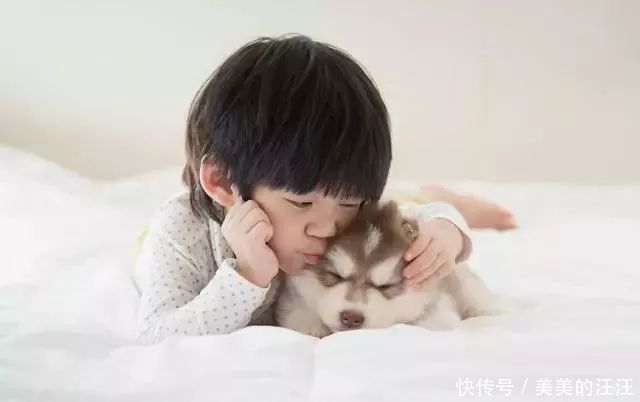 孩子|揭秘:为什么狗狗和小孩玩得来?两者间的“神奇关系”很有趣!