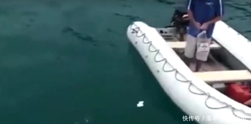 水中|水中扔面包片引来大鱼,手拿一片面包水中摇晃,空手抓到奇怪大鱼