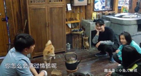 态度|同样是新人扎堆,黄磊为何态度大变,还为谭松韵专门做美食