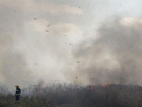  消防员|突发钱塘江边芦苇荡着火了，正在紧急扑救中