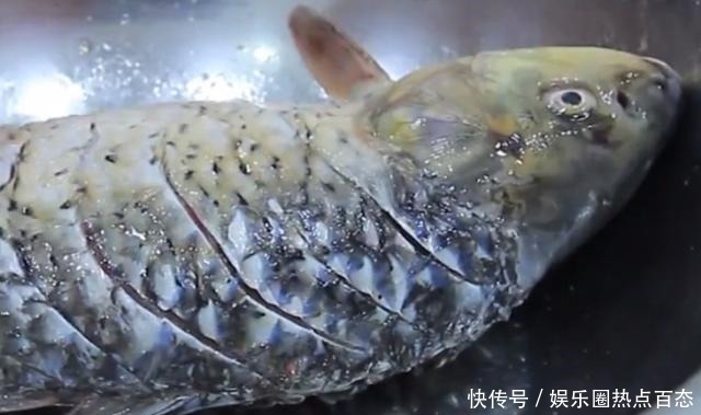 红烧鱼|美味下饭的红烧鱼,步骤全讲解,喜欢吃鱼的不要错过