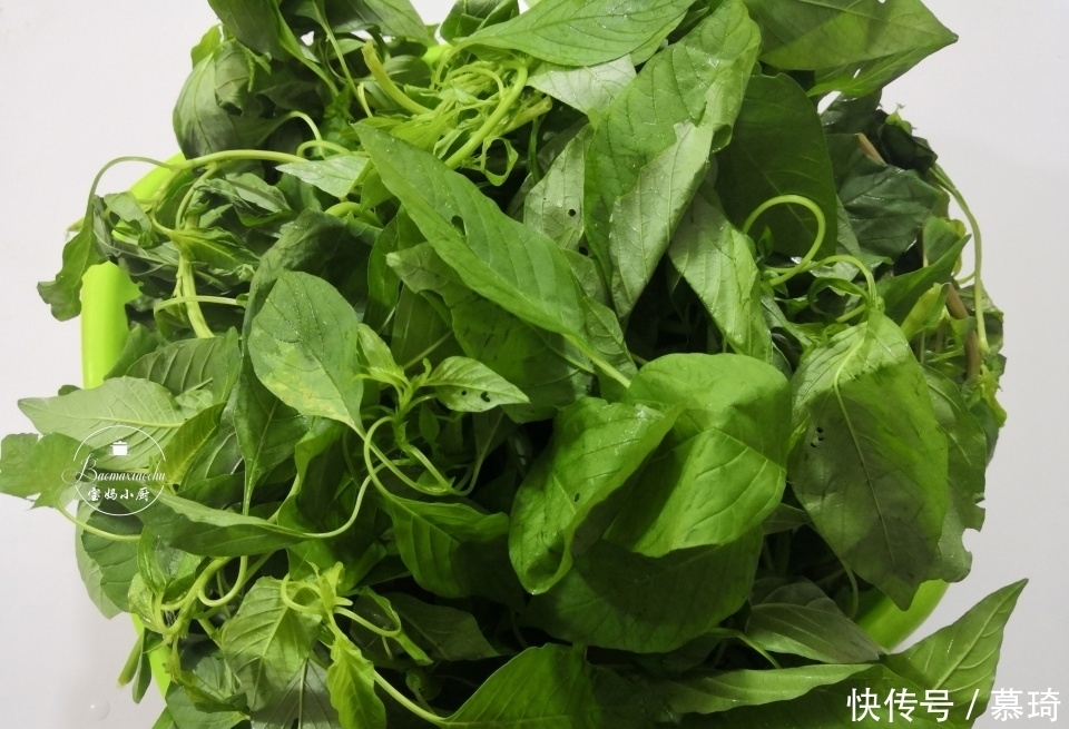 身体|入秋后，抓紧吃点此菜，做包子最适合，口感香，身体壮降秋燥