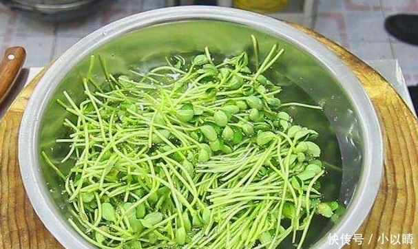 营养|这素菜，我家一周吃3次，营养比牛肉还高，晒黑的皮肤也白了