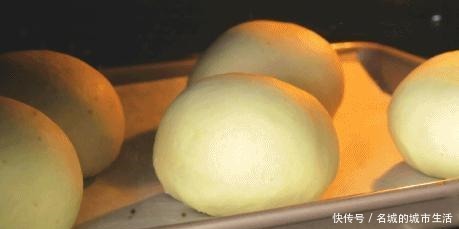 奶酪|在家也能轻松做的奶酪蒜香包,奶香味加上浓厚蒜香,让人无法抵挡