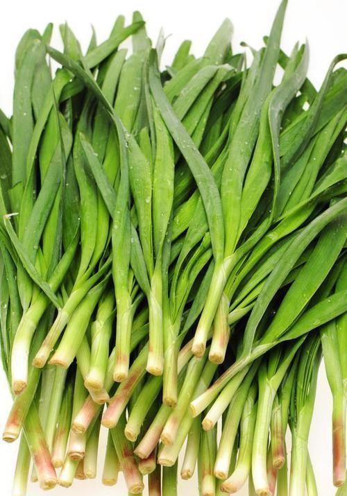  杀菌|它是“春天第一鲜”，鲜嫩美味，常吃消炎杀菌，不懂吃就亏了