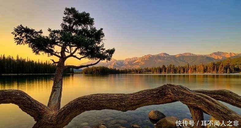 担惊受怕|周枫先生:人为什么会总是担惊受怕?