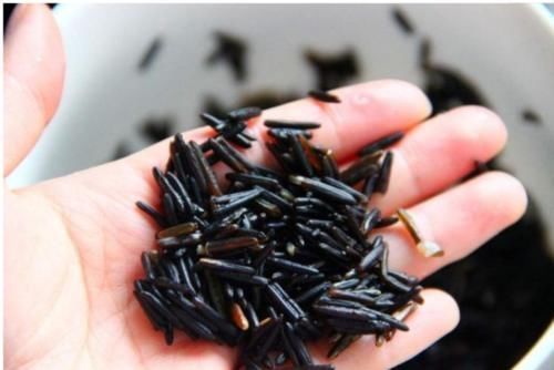 中国|全球“最贵”的大米,老外称“土豪米”产自中国却少有人见,你吃过吗?